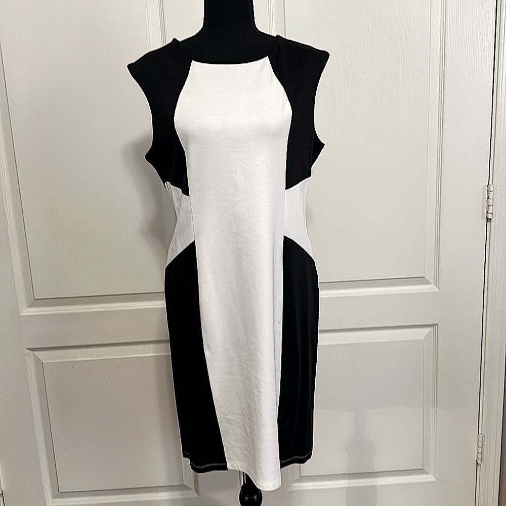 Blooming Rose Womens Black & White     A-line Dress